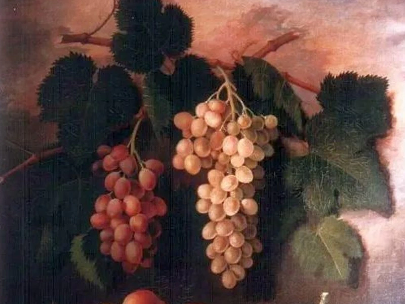 1828-Francesco Di Bartolo - Frutta